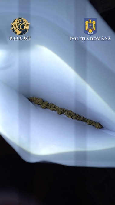 Tulcea: Şapte persoane, printre care şi doi elevi, arestate preventiv pentru trafic de droguri / Acestea sunt acuzate că au vândut cannabis inclusiv în rândul elevilor 