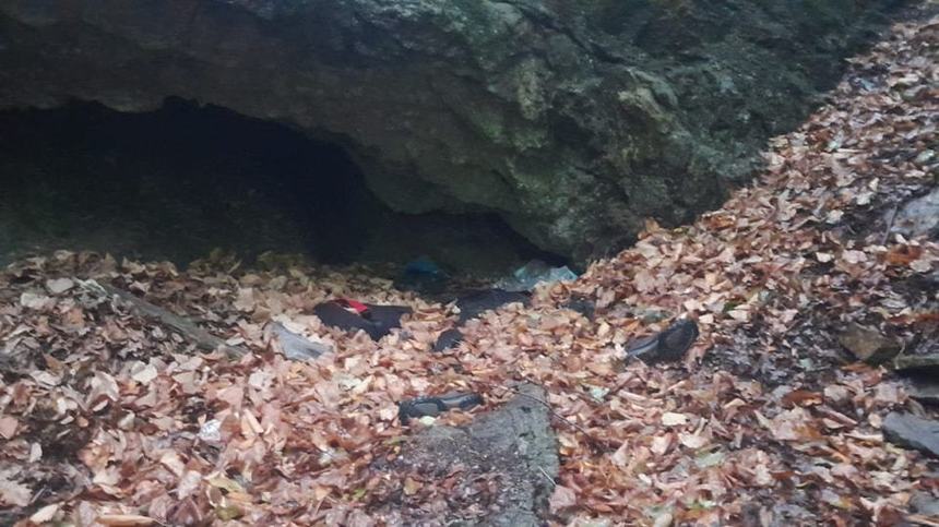 Vâlcea: Cadavrul unui bărbat, găsit în stare avansată de putrefacţie într-o pădure, la zece zile de când a fost dat dispărut