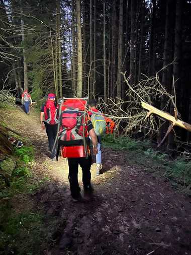 Maramureş: Un grup de turişti a cerut ajutorul autorităţilor, după ce oamenii au întâlnit pe un traseu bivoli care au devenit agresivi
