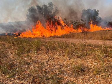 Giurgiu: Trafic oprit pe Autostrada Bucureşti-Piteşti din cauza unui incendiu / Vizibilitatea este redusă