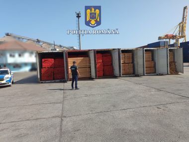 Constanţa: 20 de transporturi de cherestea, verificate de poliţişti / S-au depistat diferenţe între cantitatea din containere şi cea din acte / Cherestea în valoare a aproape 1,8 milioane de lei, confiscată
