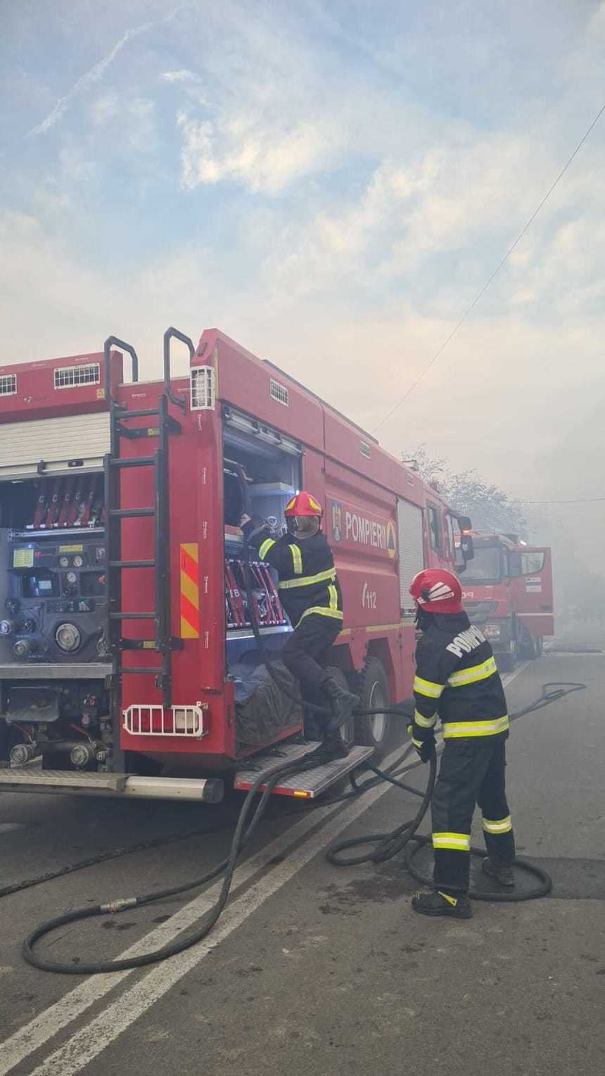 UPDATE - Dolj: Un puternic incendiu de vegetaţie uscată a ajuns la zonele locuite / 12 gospodării au fost afectate, patru persoane fiind intoxicate cu fum

