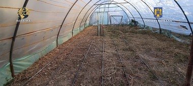 Reţea de traficanţi de cannabis, destructurată / Parte dintre suspecţi, prinşi în flagrant, pe un câmp din Dâmboviţa, după ce ar fi vândut 20 de kilograme de cannabis / Gruparea trafica şi cocaină

