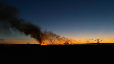 Tulcea: Aproximativ 50 de hectare de stuf şi vegetaţie uscată au ars în incendiul de la Ceamurlia de Jos / Pompierii au împiedicat flăcările să ajungă la locuinţele aflate în apropiere