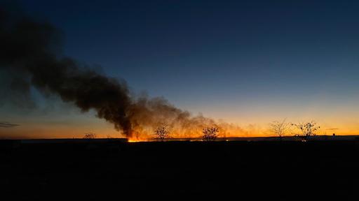 Tulcea: Aproximativ 50 de hectare de stuf şi vegetaţie uscată au ars în incendiul de la Ceamurlia de Jos / Pompierii au împiedicat flăcările să ajungă la locuinţele aflate în apropiere