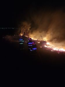 Tulcea: 100 de hectare de vegetaţie uscată, afectate de un incendiu / Focul a fost stins după mai bine de cinci ore - FOTO
