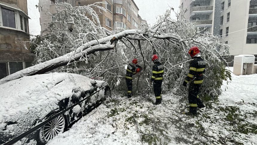 Tulcea: 40 de apeluri primite la 112 care semnalau blocarea unor autoturisme în zăpadă sau copaci doborâţi de vânt - FOTO
