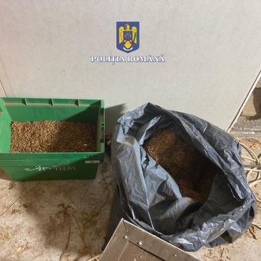 Peste 8,5 tone de tutun au fost confiscate de Poliţia Capitalei, în urma a 16 percheziţii desfăşurate în patru judeţe / Tutunul era vândut prin firme de curierat / Şapte persoane au fost reţinute 
