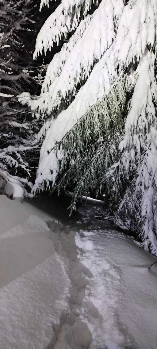 Maramureş: Ucraineanul căutat de mai bine de 30 de ore în zona de graniţă a fost găsit de către grănicerii din Ucraina / El este în viaţă, dar starea sa este precară, după ce a stat două nopţi pe munte, în condiţii de vreme extrem de dificile