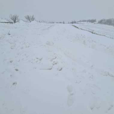 Cod portocaliu de vânt în zona de munte a judeţelor Cluj şi Covasna. Vântul poate ajunge până la 120km/h