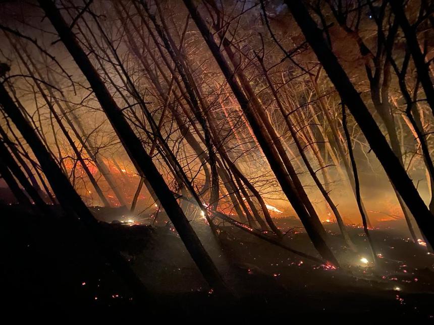 Incendiu de vegetaţie uscată în Moineşti / Ard cioate şi doborâturi, pe o suprafaţă de aproximativ 2 hectare