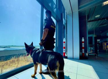 Peste 4.000 de pachete cu ţigări de contrabandă, descoperite pe Aeroportul Internaţional Henri Coandă, cu ajutorul câinelui Ebasa
