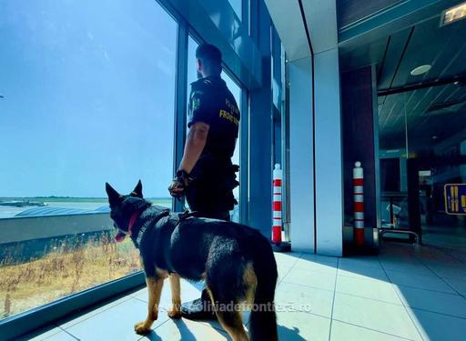 Peste 4.000 de pachete cu ţigări de contrabandă, descoperite pe Aeroportul Internaţional Henri Coandă, cu ajutorul câinelui Ebasa
