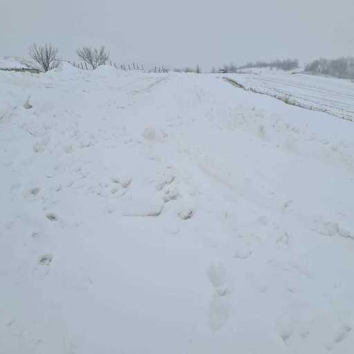 UPDATE - Cod galben de vânt puternic în zonele montane din judeţele Caraş-Severin şi Hunedoara / Rafale care pot depăşi 60 de kilometri la oră, în judeţul Alba