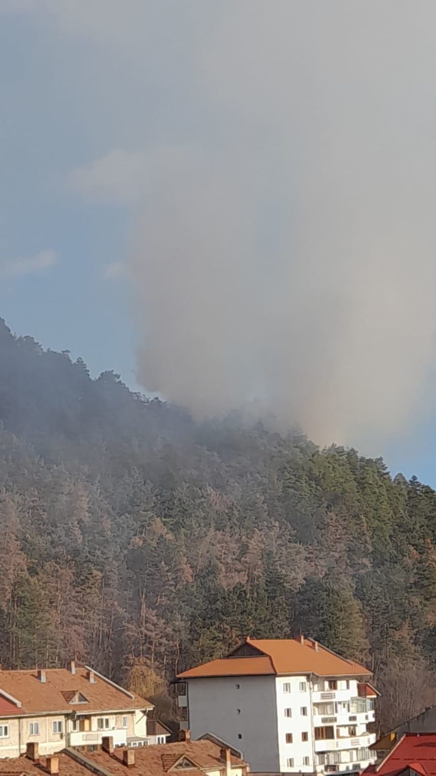 UPDATE Neamţ: Incendiu de vegetaţie uscată pe Muntele Pietricica / Pompierii au reuşit să stingă focul / O suprafaţă de un hectar şi jumătate, afectată  - FOTO
