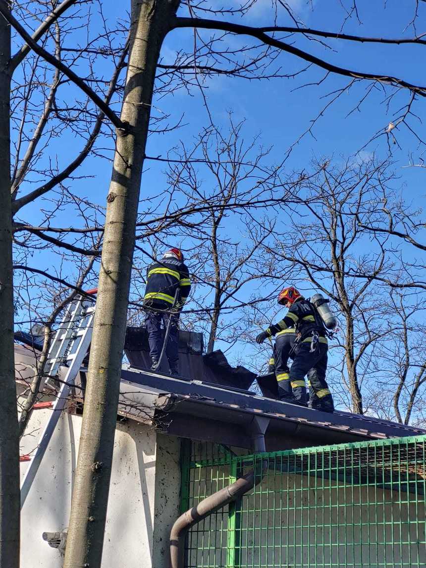 UPDATE - Incendiu la Grădina Zoologică Râmnicu Vâlcea. Arde acoperişul pavilionului în care sunt maimuţele / Cauza probabilă, un scurtcircuit electric la o aerotermă - FOTO