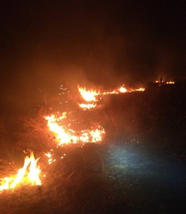 Timiş: Incendiu pe aproximativ 100 de hectare de vegetaţie uscată / Intervin pompierii şi voluntarii - FOTO