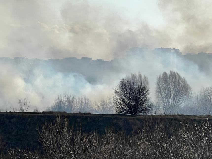 Incendiu în Delta Văcăreşti, pe 1,5 hectare/ Pompierii intervin cu opt autospeciale de stingere - FOTO