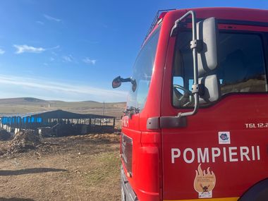 Tulcea: 180 de miei au murit într-un incendiu izbucnit la un saivan  / Au ars 2,5 tone de furaje, iar saivanul a fost afectat în proporţie de 70%