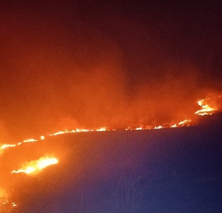 Hunedoara: Aproape 100 de hectare de teren, afectate în urma incendiilor de vegetaţie uscată produse sâmbătă - FOTO, VIDEO