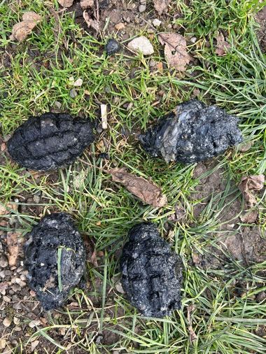 Alba: Patru grenade neexplodate, găsite într-o fosă septică - FOTO
