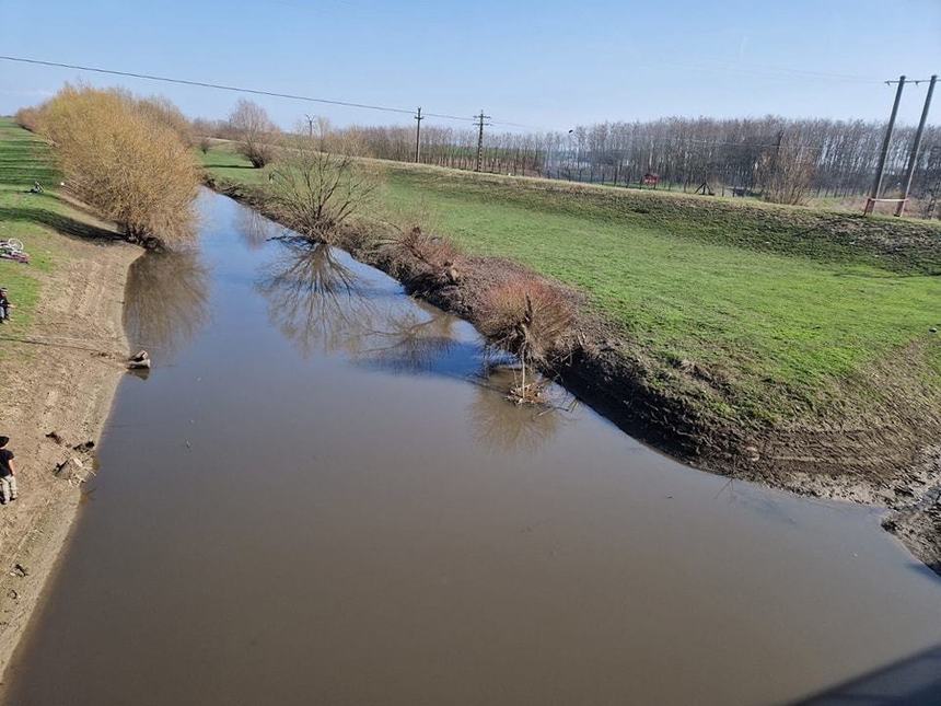 Apele Române: Unda de poluare de pe râul Crasna a ajuns la graniţa României cu Ungaria / Mortalitate piscicolă