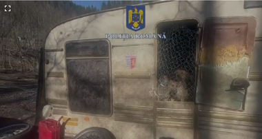 UPDATE - Hunedoara: Poliţiştii au găsit un adăpost de câini improvizat / 70 de animale au fost salvate, alte 20 au fugit în pădure / Un bărbat ţinea animalele în maşină şi într-o rulotă, dormind cu ele / Proprietarul, amendat  - VIDEO