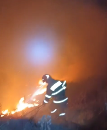 Mureş: Incendiu de vegetaţie pe mai mult de 20 de hectare / Pompierii au lucrat toată noaptea pentru stingerea flăcărilor  - VIDEO