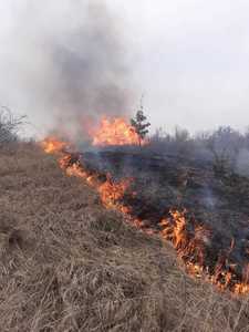 Pompierii din Cluj au avut 16 intervenţii pentru stingerea unor incendii de vegetaţie, într-o singură zi/ Aceştia atrag atenţia că echipajele de pompieri sunt dislocate în zone greu accesibile şi ar putea ajunge cu dificultate la alte situaţii de urgenţă