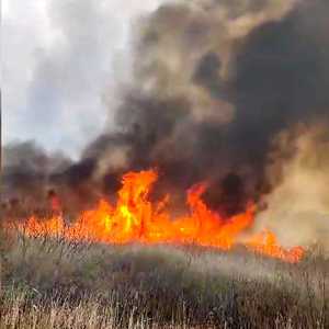Giurgiu: Intervenţie dificilă a pompierilor pentru stingerea unui incendiu de vegetaţie izbucnit în Delta Neajlovului - VIDEO