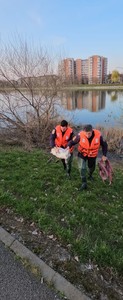 Bihor: Lebădă cu probleme de sănătate, salvată de pompieri din albia râului Crişul Repede