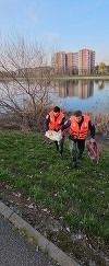Bihor: Lebădă cu probleme de sănătate, salvată de pompieri din albia râului Crişul Repede