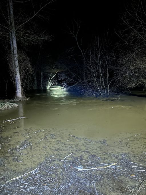 Cod galben de furtună în Timiş: O viitură a inundat 15 gospodării