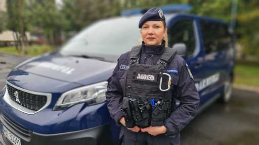 Maramureş: Bărbat care întreţinea relaţii sexuale cu minori, prins de jandarmi/ În telefoanele sale au fost găsite imagini cu băieţi minori, fiind predate Poliţiei pentru cercetări