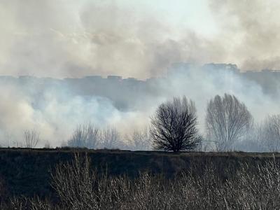 Pompierii au intervenit pentru salvarea unui familii blocată pe un grind din cauza unui incendiu de vegetaţie în Delta Dunării / Mama şi copilul de cinci ani, duşi la spital pentru evaluare medicală 
