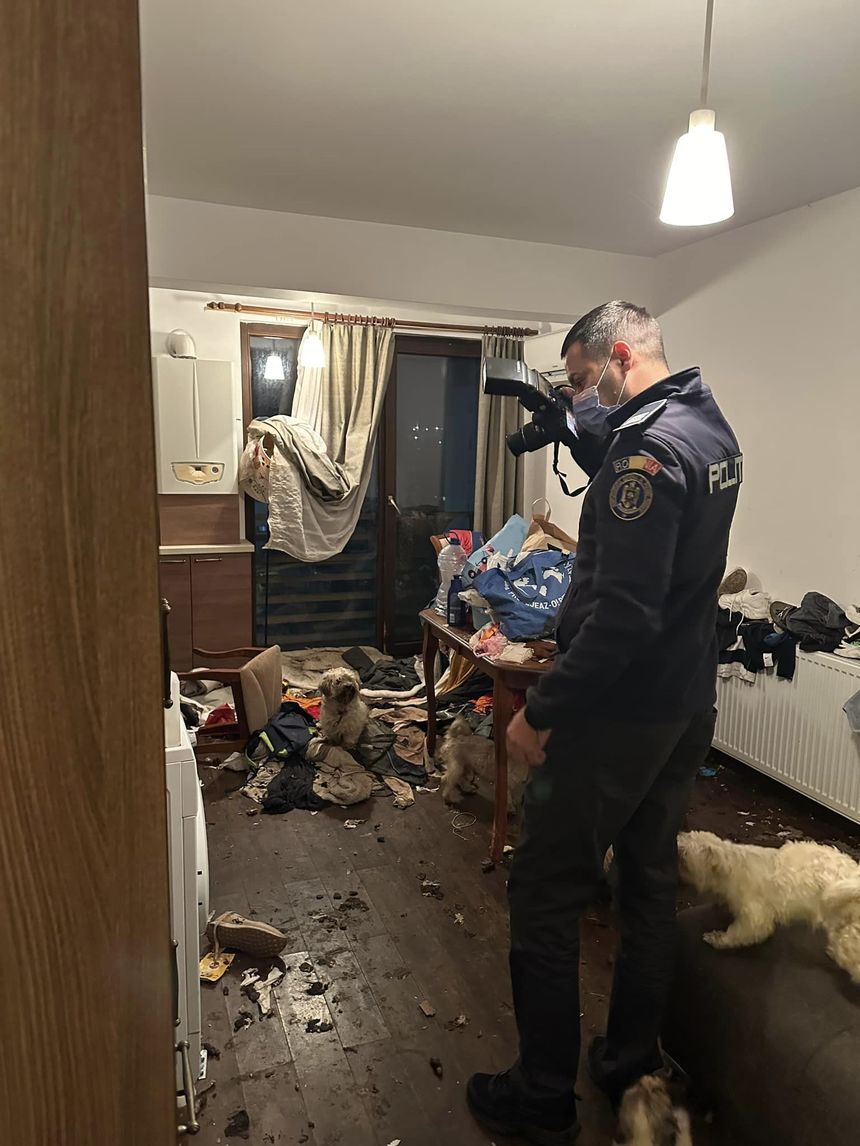 Dosar penal pentru cruzimi faţă de animale, după ce poliţiştii au găsit mai mulţi câini şi o pisică într-un apartament din Bragadiru / Locuinţa fusese închiriată de o femeie, pe care vecinii nu au mai văzut-o de şapte zile - FOTO