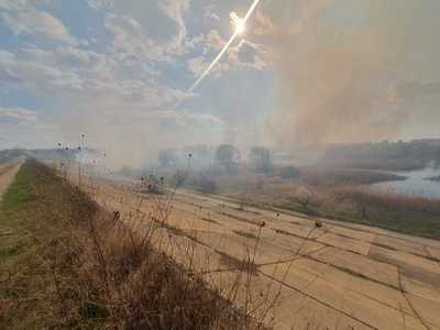 UPDATE - Incendiu în Delta Văcăreşti, pe aproximativ 7.000 de metri pătraţi/ Pompierii intervin cu 11 autospeciale - VIDEO