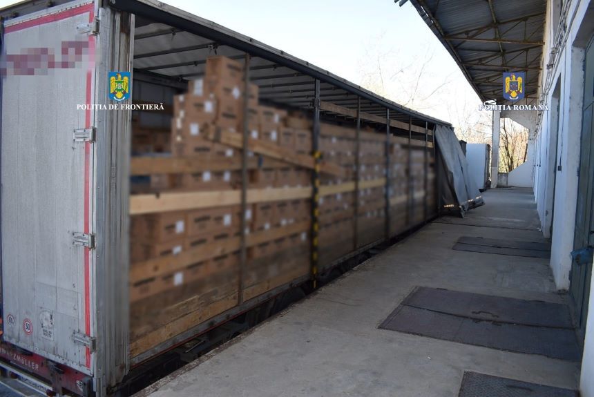 Dolj: 1.500.000 de ţigarete de contrabandă, în valoare de aproape 2.000.000 de lei, găsite ascunde într-un TIR care transporta săpun din Turcia către Ucraina / Şoferul, cetăţean bulgar, reţinut pentru 24 de ore  - FOTO
