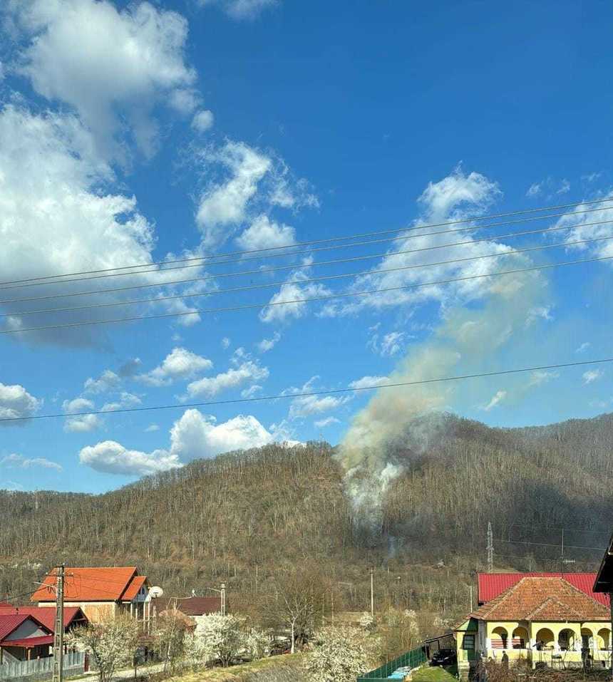 Incendiu de vegetaţie uscată extins la pădure, în judeţul Vâlcea / Focul s-a extins pe 9 hectare