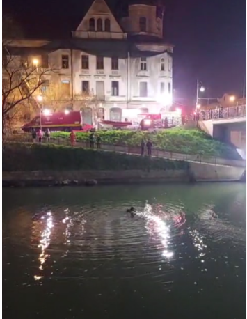 Timişoara: Pompierii intervin pentru găsirea unei persoane care ar fi căzut în râul Bega / Pe malul apei s-au găsit o geantă şi doi câini - VIDEO
