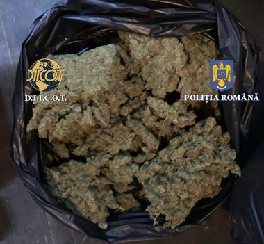 Constanţa: Zece persoane au fost reţinute pentru trafic de droguri, în două dosare penale / Acestea sunt acuzate fie că au importat opt kilograme de cannabis din Spania, fie că vindeau droguri cu sume cuprinse între 100 şi 400 de lei