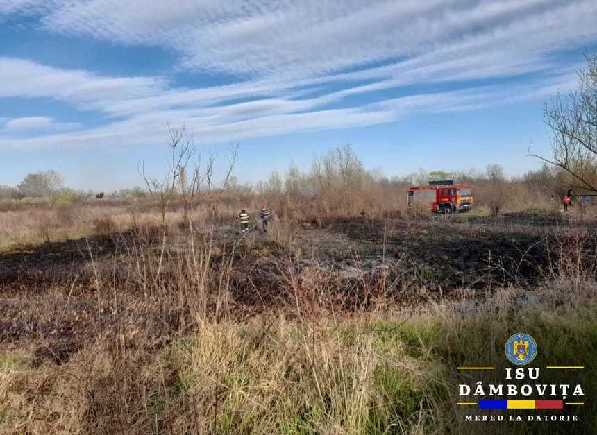 Dâmboviţa: Nouă incendii de vegetaţie care au afectat peste 19 hectare de teren, la finalul săptămânii / Avertismentul pompierilor

