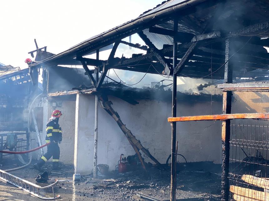 UPDATE - Prahova: Incendiu de amploare într-o gospodărie din oraşul Boldeşti Scăeni. Focul a cuprins un ansamblu de locuinţe lipite una de alta - FOTO

