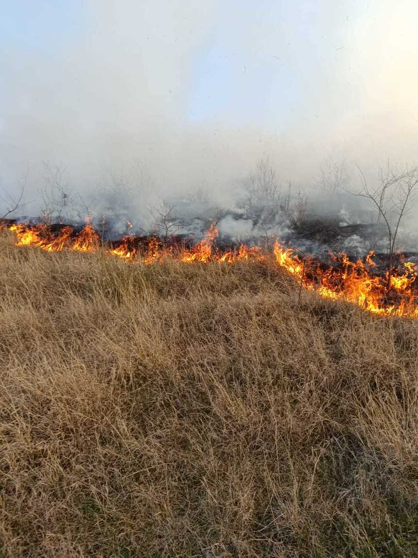 Vaslui: Acţiune de şapte ore a pompierilor, pădurarilor şi voluntarilor pentru stingerea unui incendiu izbucnit pe o plantaţie silvică - FOTO / VIDEO
