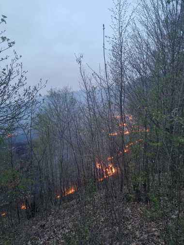 Prahova: Incendiu de vegetaţie uscată care s-a extins pe 50 de herctare / Arde litieră, lăstăriş şi masă lemnoasă / În zonă bate vantul şi nu sunt surse de alimentare cu apă  – FOTO / VIDEO