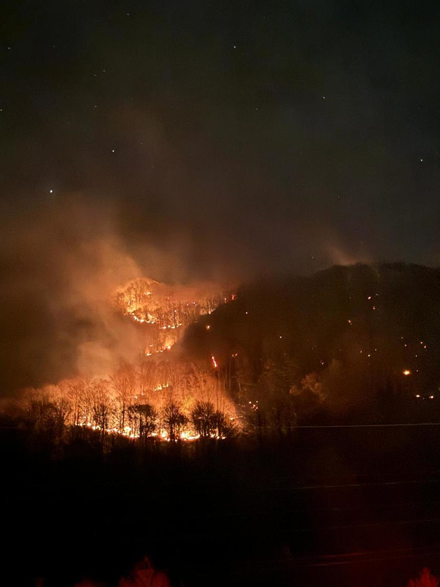 Incendii de vegetaţie uscată şi fond forestier - În Hunedoara focul a cuprins 20 de hectare / Pompierii vor sta la baza versantului pentru a se asigura că focul nu ajunge la gospodării / În judeţul Braşov sunt 10 hectare afectate în Munţii Făgăraşului