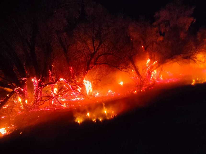 Incendiu de proporţii într-o pădure din Galaţi / Focul s-a extins pe 10 hectare / Cauza – foc în spaţii deschise - FOTO