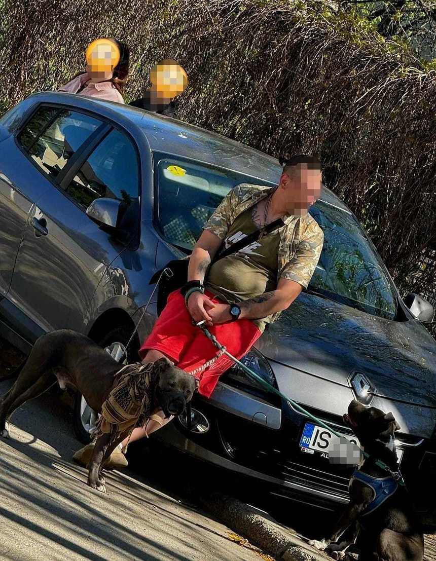 Bărbat, prins de jandarmi în timp ce aborda eleve pentru videochat, în parcarea unui liceu din Iaşi/ El avea substanţe interzise şi doi câini periculoşi, unul fără botniţă