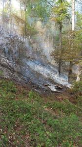 UPDATE - Mureş: Incendiu într-o pădure de răşinoase, pe mai mult de 40 de hectare / Versanţii sunt extrem de abrupţi / Se creează linie de protecţie pentru a împiedica răspândirea flăcărilor / Vântul face intervenţia dificilă

