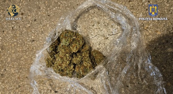 Vrancea: Cinci persoane, reţinute după ce ar fi vândut cannabis şi ecstasy mai multor consumatori